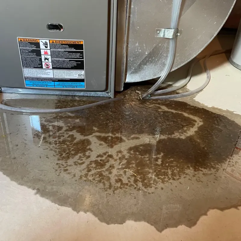 Appliance Leak Cleanup in Noble, OK